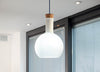 Labware pendant lamp